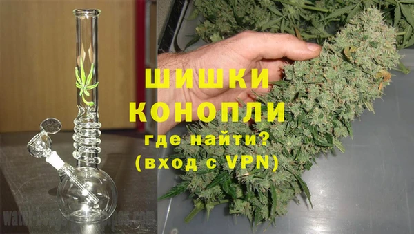 сатива Армянск