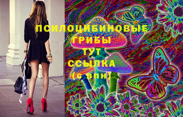 сатива Армянск
