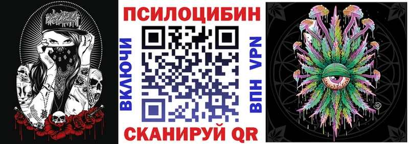 закладки  MEGA сайт  Псилоцибиновые грибы GOLDEN TEACHER  Новая Ладога 