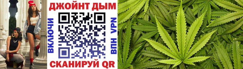 Конопля OG Kush  где найти наркотики  Новая Ладога 